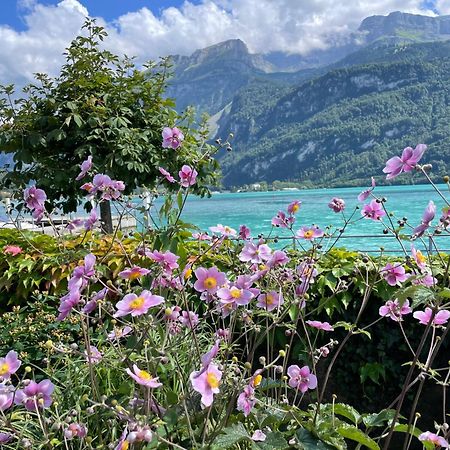 Chalet Romantica Carpe Diem Best View Best Location Brienz  Exterior foto